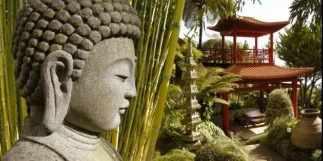 念佛能创造两种强大的力量…… 念佛能创造两种强大的力量……