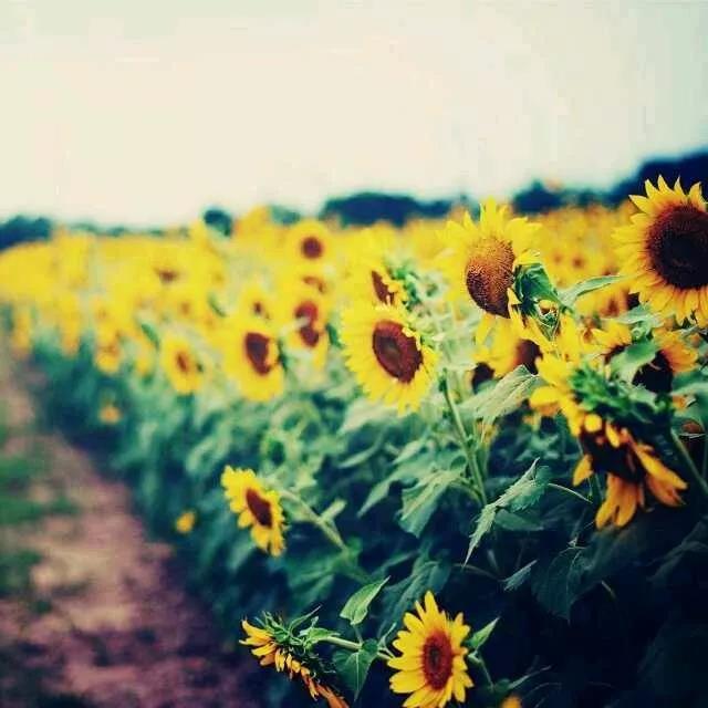 修心“六字诀”,字字值千金! 修心“六字诀”,字字值千金!