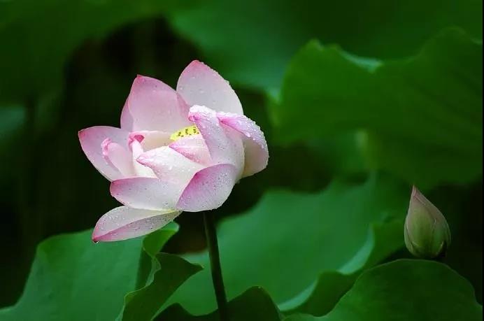 ��Ȼ����Ҫ�����β�����������������