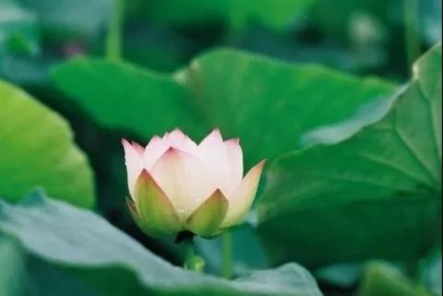 �������������Ʒ���������Ҫ�������Ʒ�