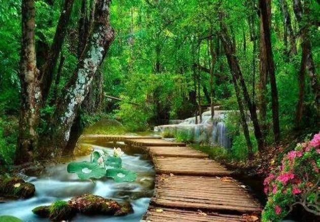 ������ʵ��Լ����������Ҹ���