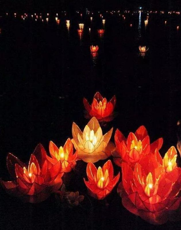 ׯ����ʤ�������������Ƶ�����