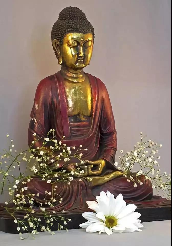 ��������������Ƿ�