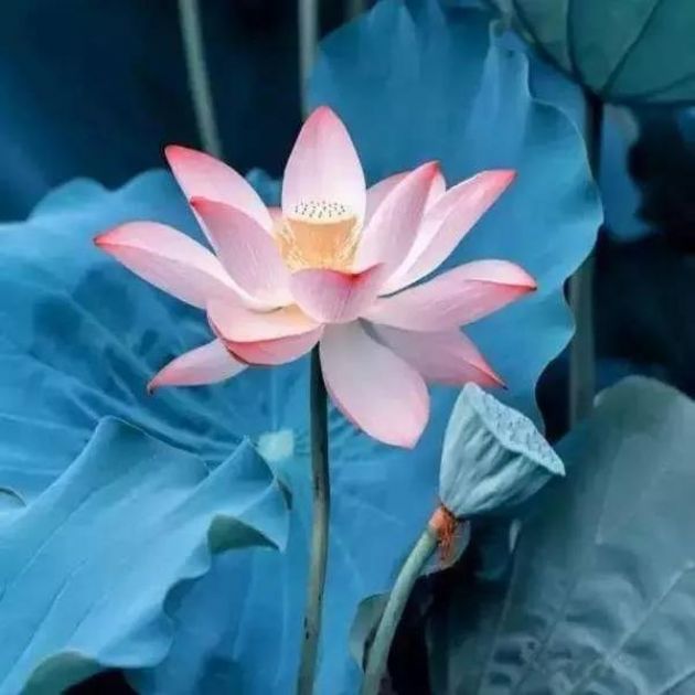 ���˽��������������ұ�������һ������