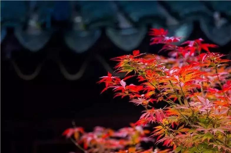 ֻҪ������˸��֣����������κη���û�в��ɾ͵ģ�