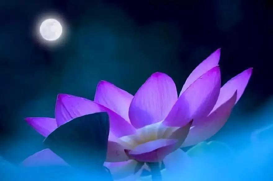 ������һ��֮�������������