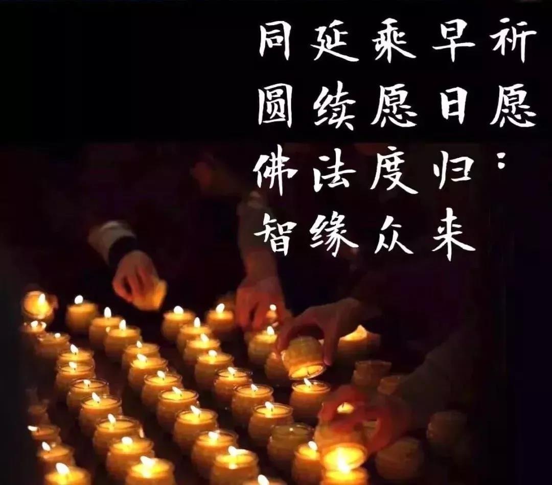 深山中的一盏明灯_|_一代高僧上梦下参长老圆寂两周年纪念日 深山中的一盏明灯_|_一代高僧上梦下参长老圆寂两周年纪念日