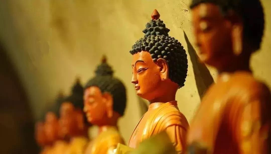 闻了法却不去做,那又有何用? 闻了法却不去做,那又有何用?