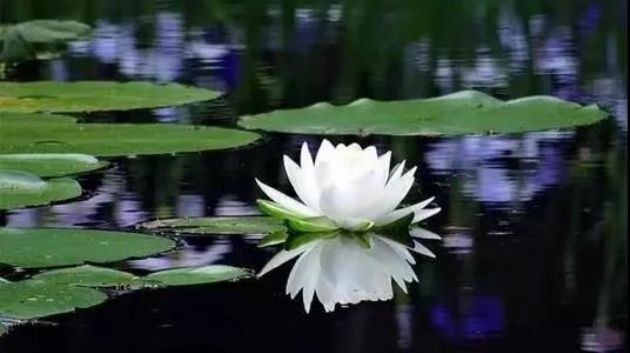 ������ʲô��������