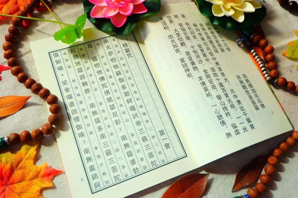 �����о����������ܹ������Ƭ?