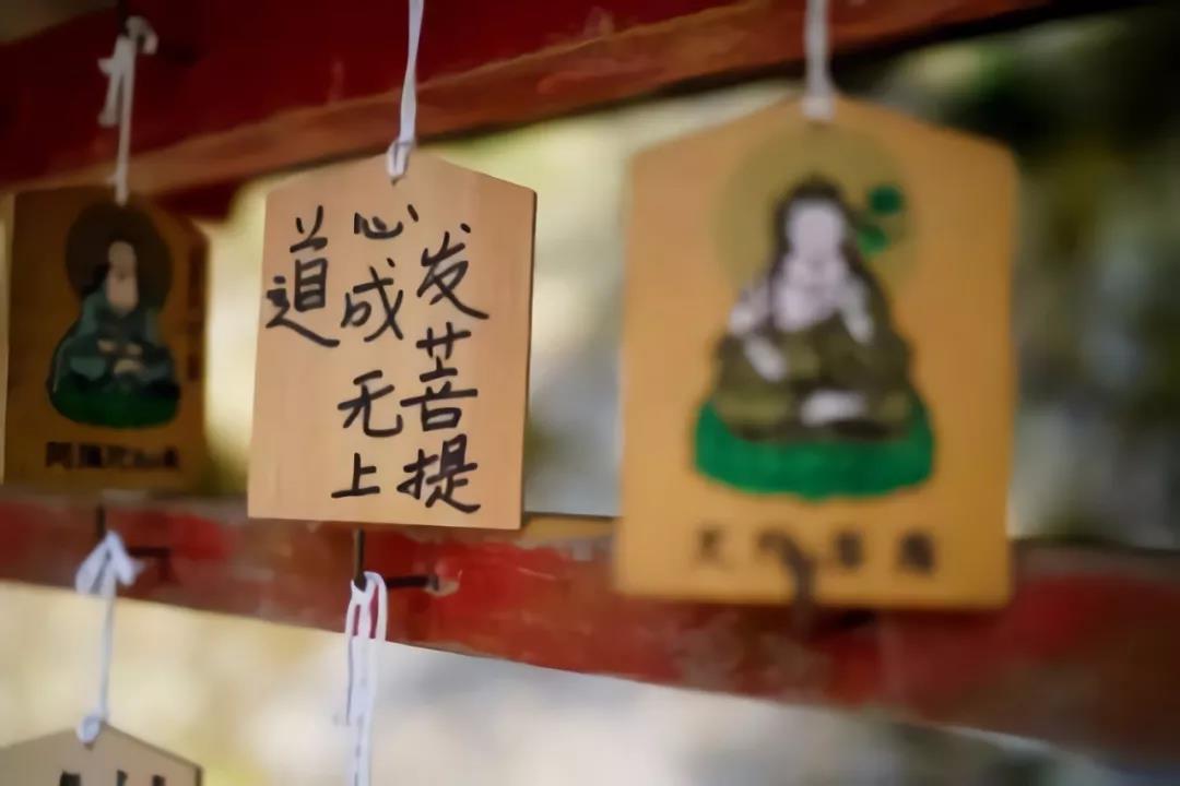 做好事,反而做出了烦恼?放下玻璃心,换颗菩提心 做好事,反而做出了烦恼?放下玻璃心,换颗菩提心