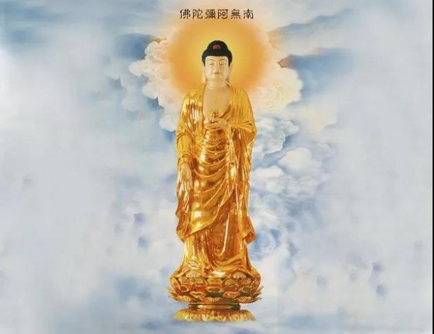 ��ѧ���������¾����㿹��