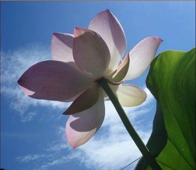 �����У������˼������Ե���