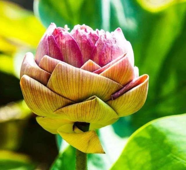 Ī�����׵�_�������п�_����_��һ����������