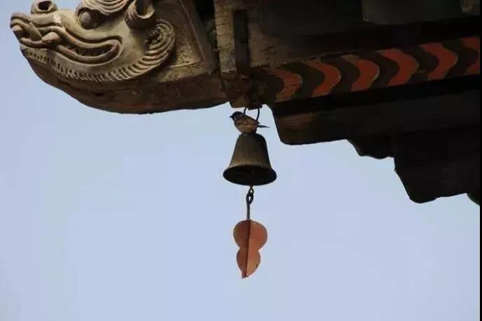 �������ι�˫ʮһ����������������η����ﳣΧ�ƣ�