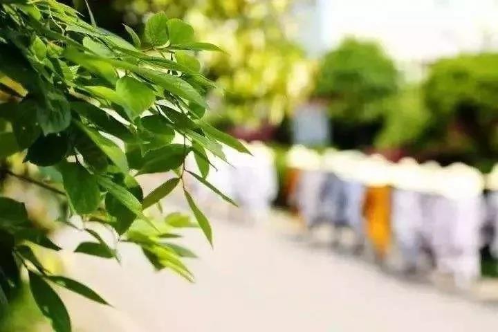 真人不现相,大智若愚好修行 真人不现相,大智若愚好修行