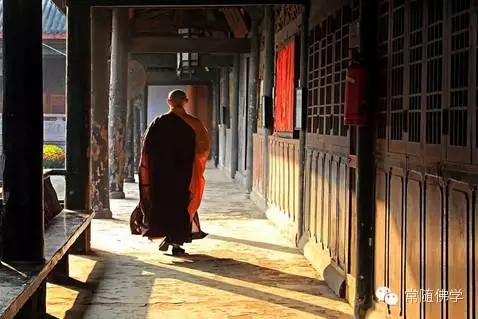 梦参长老:佛前供养一朵花的功德_大到你无法想象 梦参长老:佛前供养一朵花的功德_大到你无法想象