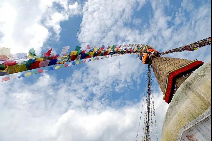 ѧ��·�ϣ��辯��11��ä��Ϲ��~