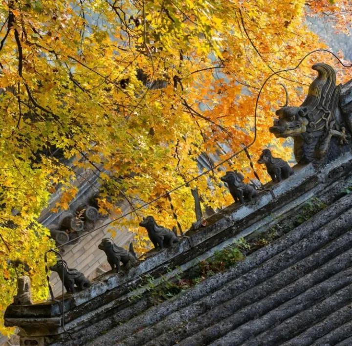 念佛就等于修净土法门吗? 念佛就等于修净土法门吗?