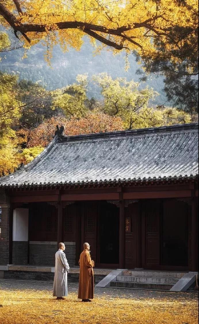 烦恼吗?此处正好修行! 烦恼吗?此处正好修行!