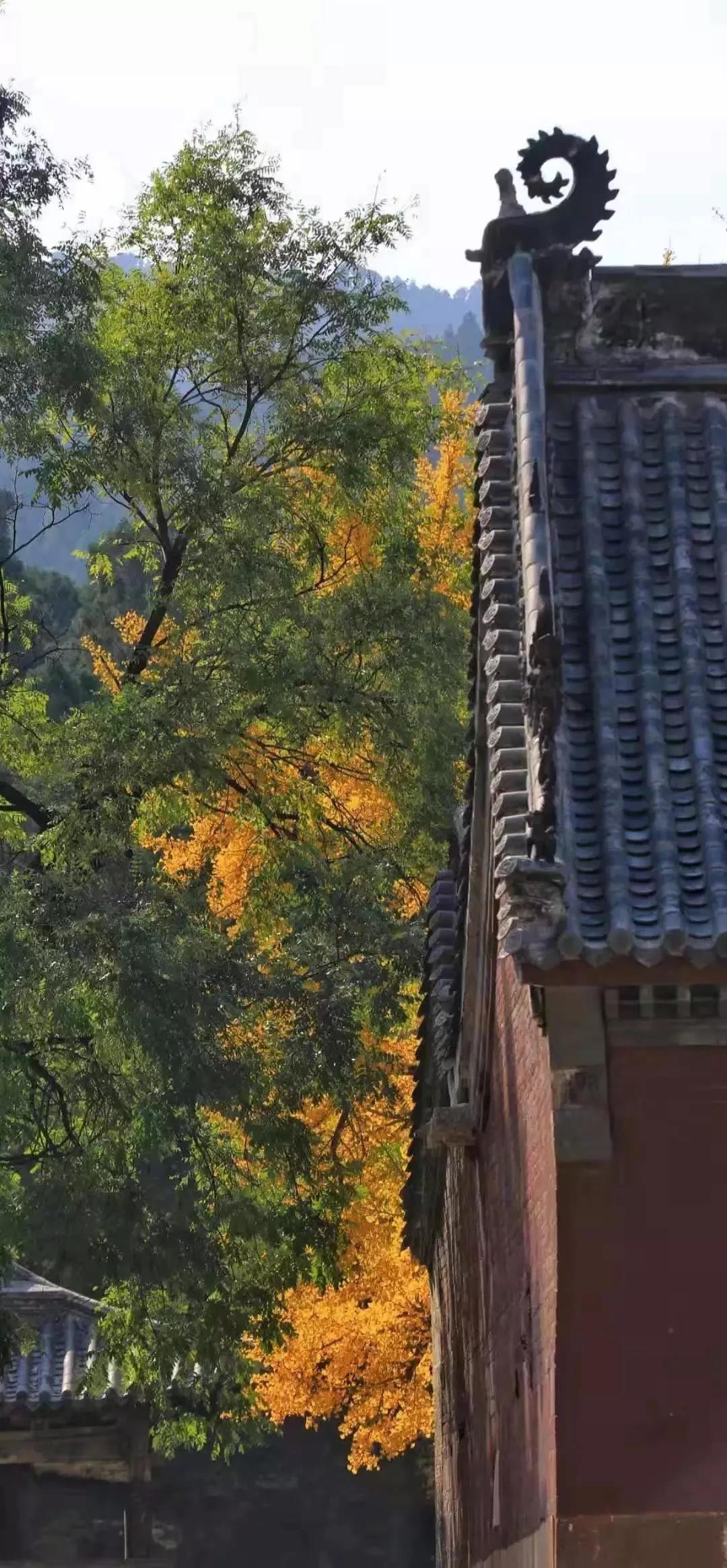 烦恼吗?此处正好修行! 烦恼吗?此处正好修行!