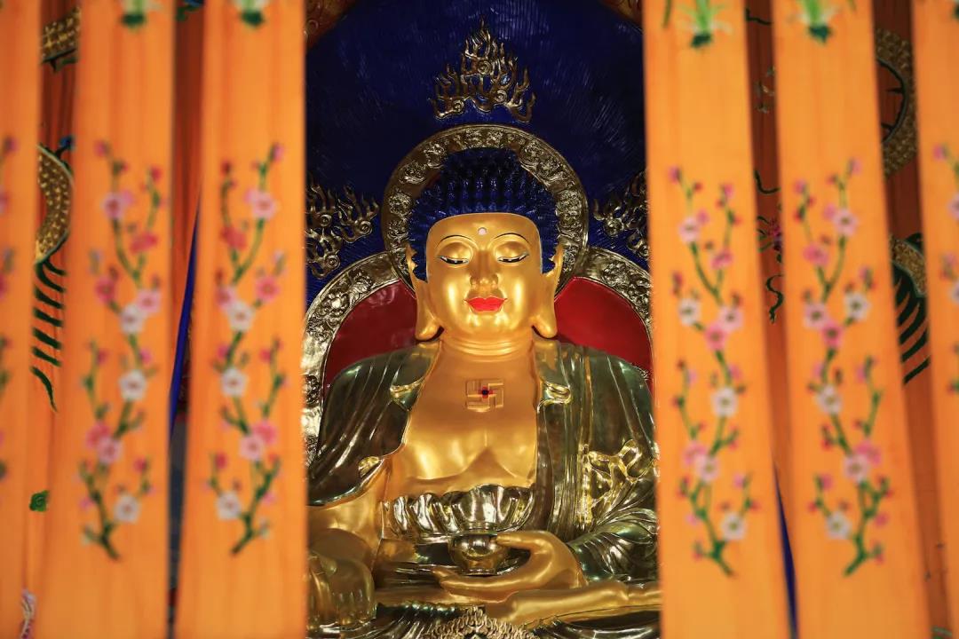 印光法师:天下最易失者人身,至难闻者佛法 印光法师:天下最易失者人身,至难闻者佛法