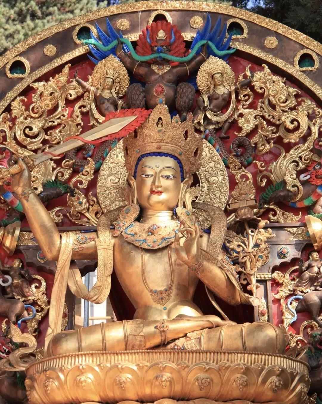 ���չ�ӭ�������������գ������ǻ۱�����ն��������ǧ��