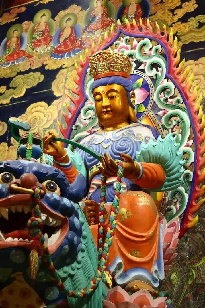 ���չ�ӭ�������������գ������ǻ۱�����ն��������ǧ��