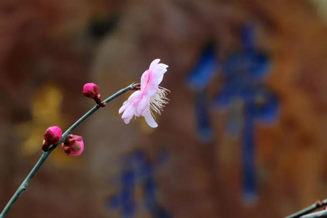 ӡ�ⷨʦ�������С�����Ĭ����