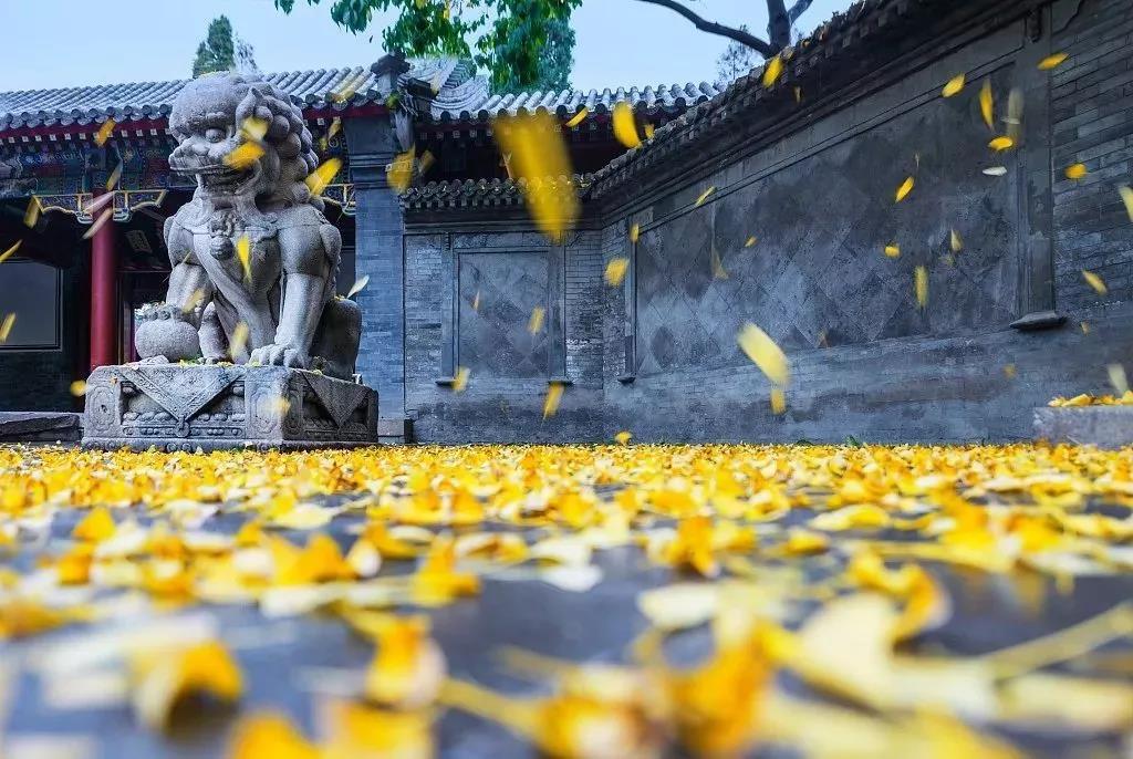 “没有我怨恨的人,没有我不爱的人”这难道不是一句破地狱的真言吗? “没有我怨恨的人,没有我不爱的人”这难道不是一句破地狱的真言吗?