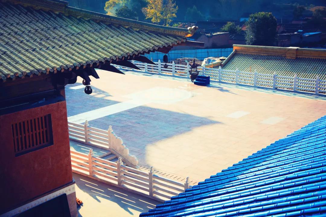 �ն��¡����������������ǰ������