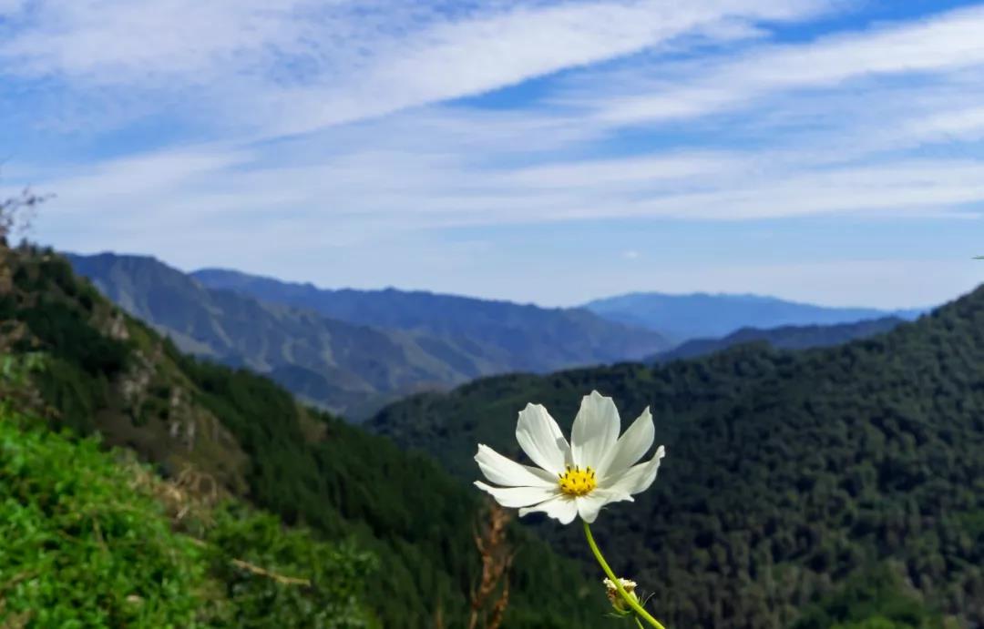 文殊菩萨会迎接每位来五台山的人吗? 文殊菩萨会迎接每位来五台山的人吗?