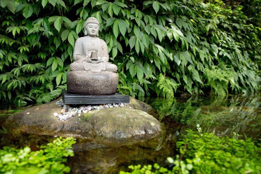 ������ȥ����̰δ������ϵ���£��ɴ˰���