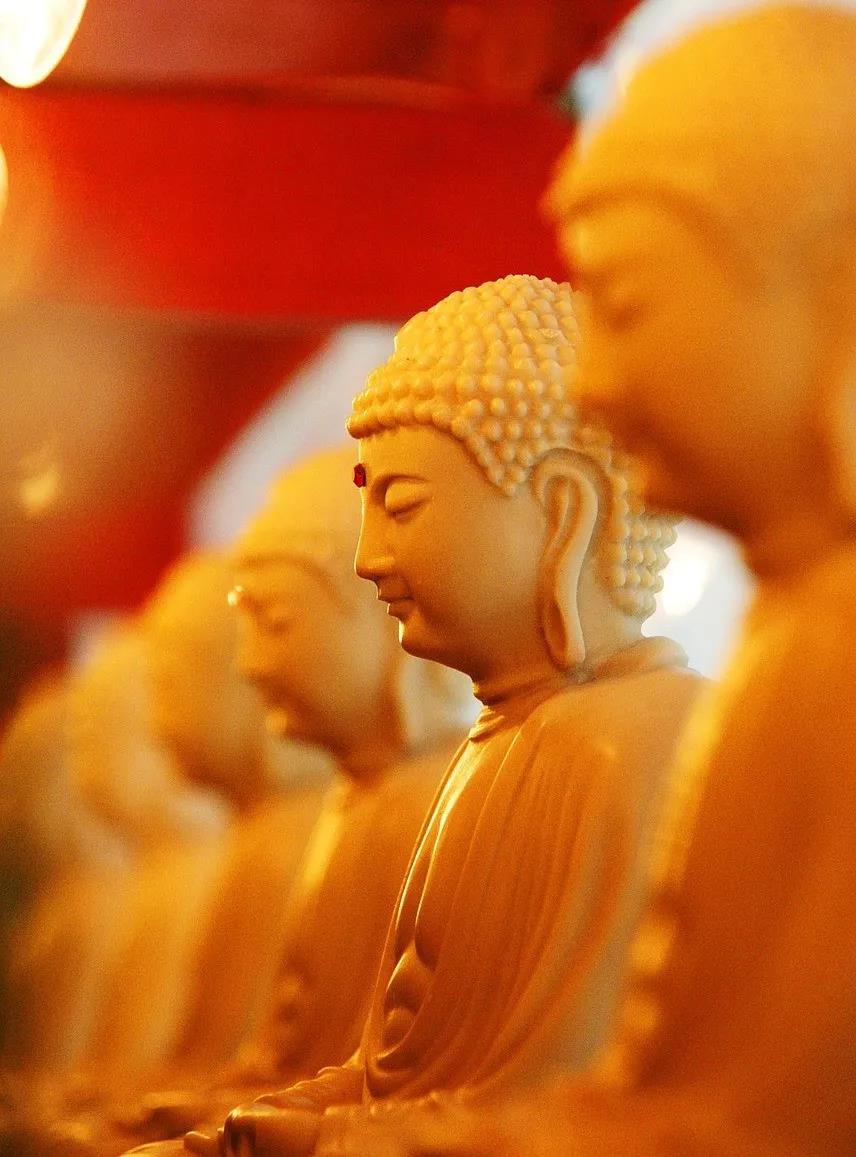 ��һ�����Ǹ��õ������ˣ��˸�õ��Ǹ�