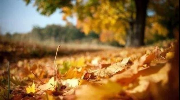 人生中最可怕的两个字,犹如致命毒蛇 人生中最可怕的两个字,犹如致命毒蛇