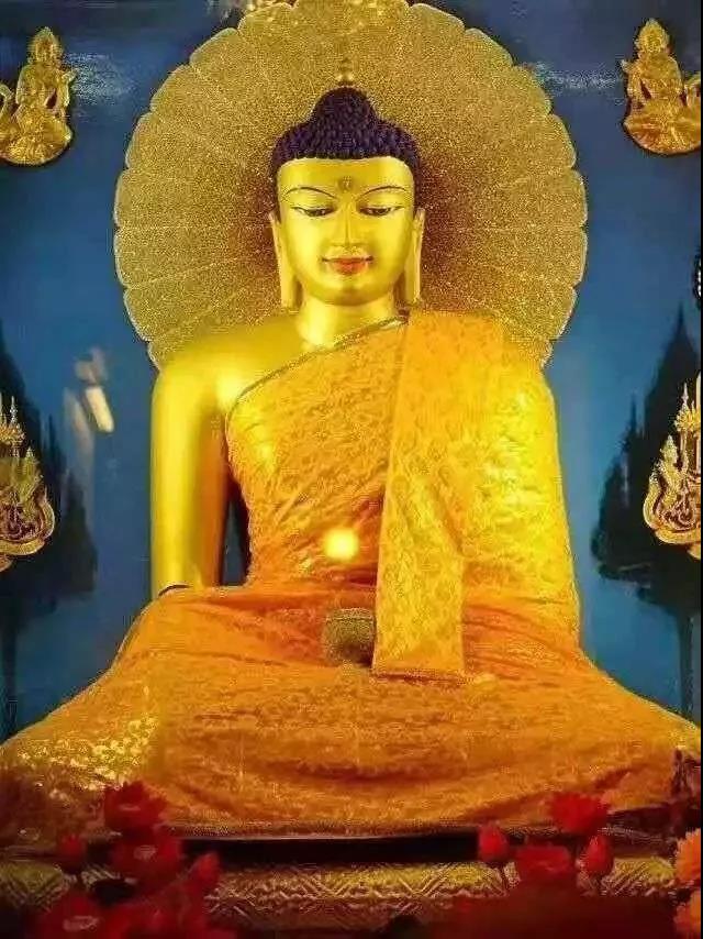 ���չ�ӭ�����콵�գ��������ϲ�����콵���飡