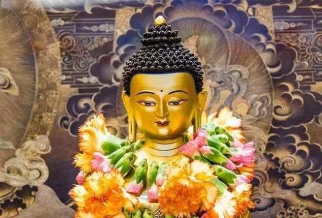 ���չ�ӭ�����콵�գ��������ϲ�����콵���飡