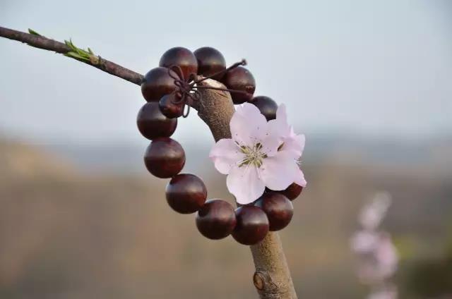 Ϊ��Ҫ����������������Σ�