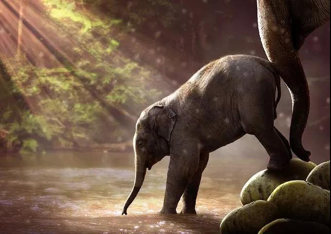 ���𸣱���ʮ����Ϊ��ǧ��Ҫȥ����