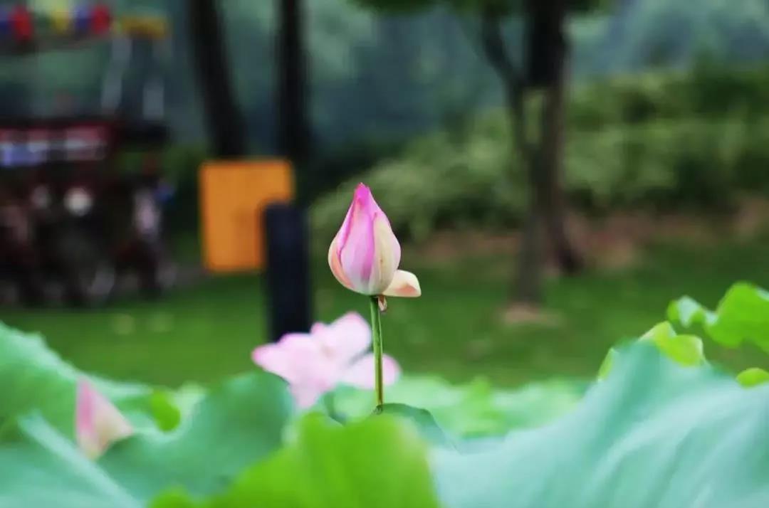 �����������Ӧ��һ��Ҫ֪��������ܿ��ֻ���