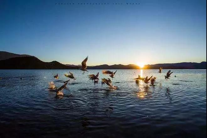 �����Ʊ����ж񱨣����ƶ񹦹��ܷ������