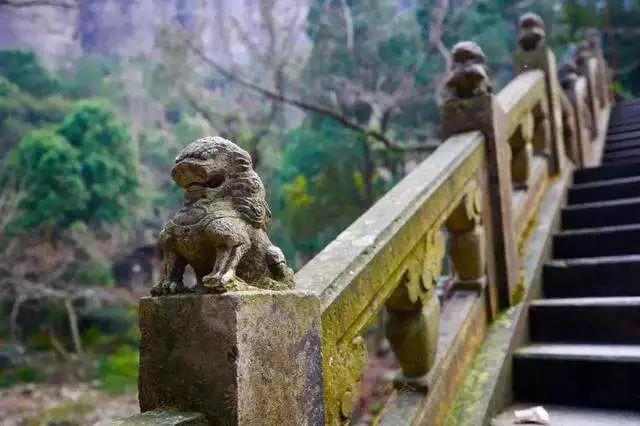 �����Ʊ����ж񱨣����ƶ񹦹��ܷ������