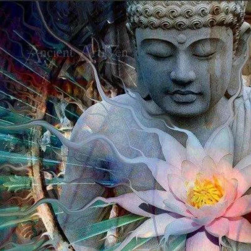 信佛,你损失了什么,不信佛,你又损失了什么? 信佛,你损失了什么,不信佛,你又损失了什么?