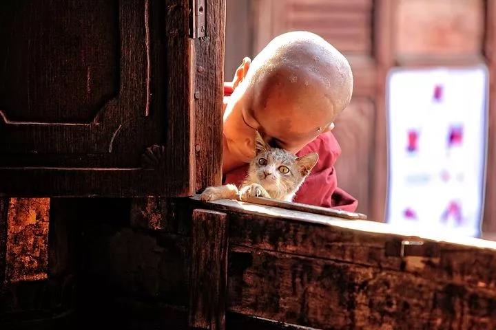 清清楚楚地注意自己的心念,则烦恼必定不存在 清清楚楚地注意自己的心念,则烦恼必定不存在