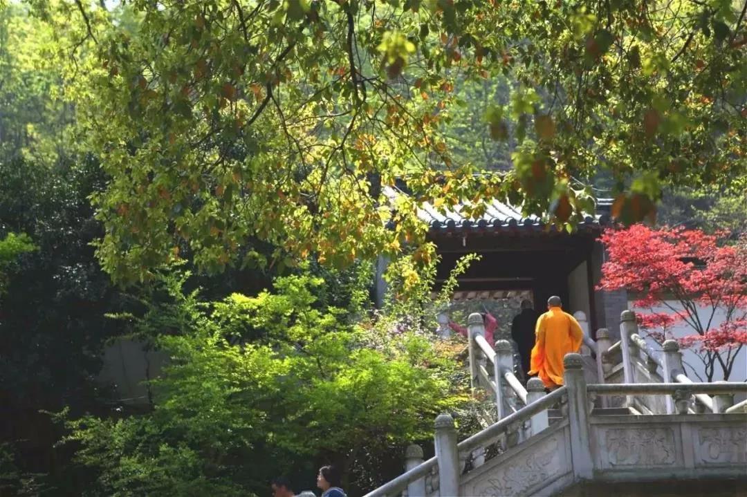 ��������仰����侫������æҲҪ������