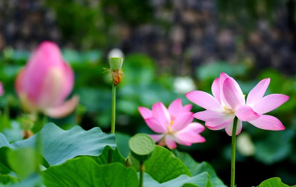 ֻҪ������˸��֣����������κη���û�в��ɾ͵ģ�