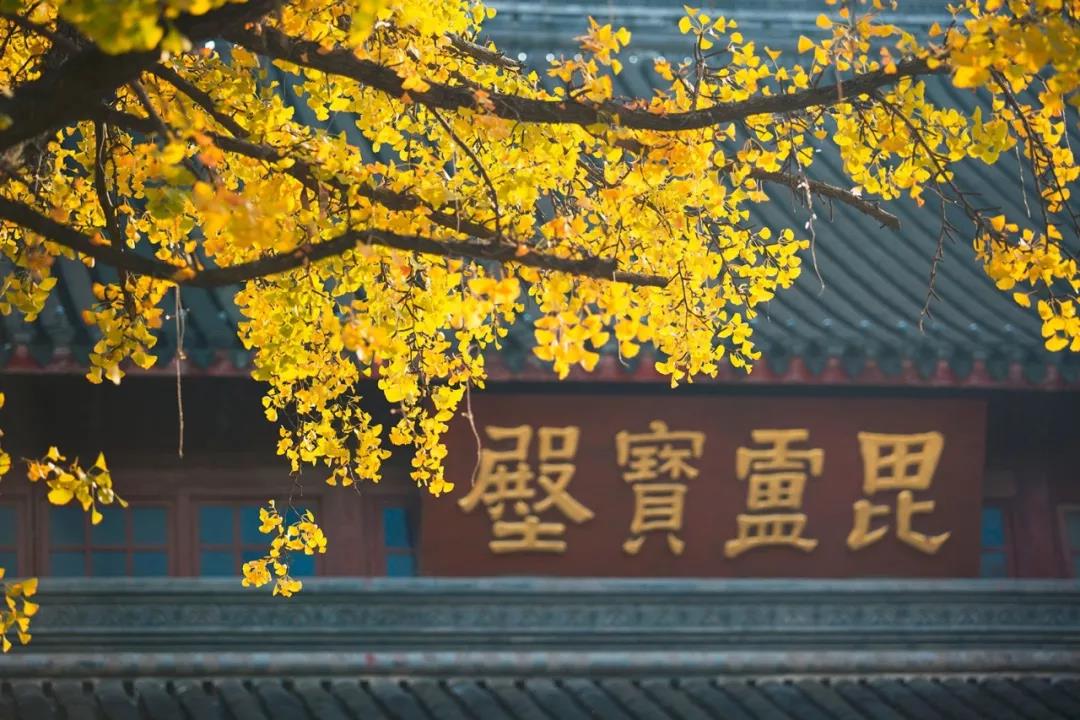 ��˵����ʮ������飬����������