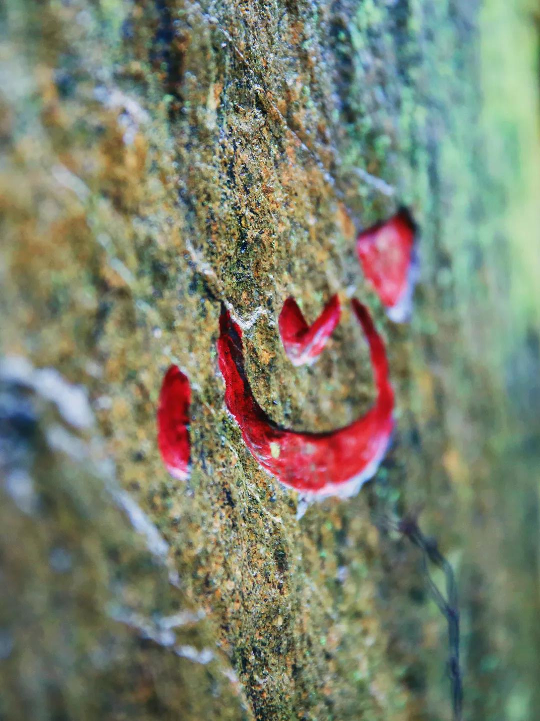 老修行_脾气大!确定不是在说你? 老修行_脾气大!确定不是在说你?