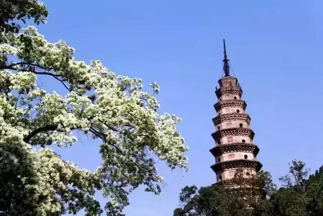 ��Ⱥ��ʦ����Ȼ������������Ϊ�λ�Ҫ���������