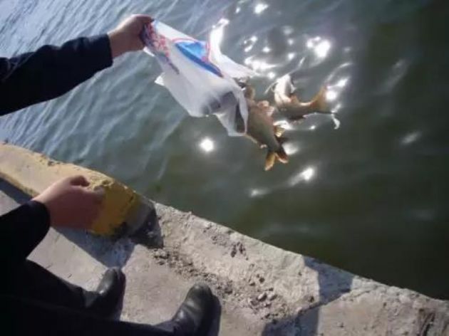 世上最睿智的行为叫做修行,世上最快速的解脱叫放下 世上最睿智的行为叫做修行,世上最快速的解脱叫放下